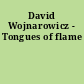 David Wojnarowicz - Tongues of flame