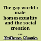 The gay world : male homosexuality and the social creation of evil ; [a controversial, incisive view of the homosexual scene - what it is, where it is, and how it works!]