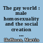 The gay world : male homosexuality and the social creation of evil