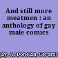 And still more meatmen : an anthology of gay male comics