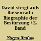 David steigt aufs Riesenrad : Biographie der Bestürzung / 2. Band