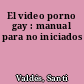 El video porno gay : manual para no iniciados