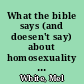What the bible says (and doesen't say) about homosexuality : a biblical response to the question people ask ... "How can you consider yourself a Christian, when you are also gay?"