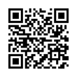 QR Code (код быстрого отклика)