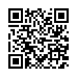 QR Code (код быстрого отклика)