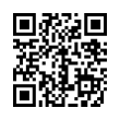 QR Code (код быстрого отклика)