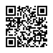 QR Code (код быстрого отклика)