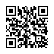 QR Code (код быстрого отклика)