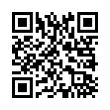 QR Code (код быстрого отклика)