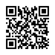 QR Code (код быстрого отклика)