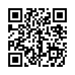 QR Code (код быстрого отклика)