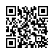 QR Code (код быстрого отклика)