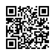 QR Code (код быстрого отклика)