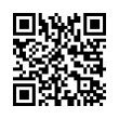 QR Code (код быстрого отклика)