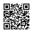 QR Code (код быстрого отклика)