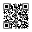 QR Code (код быстрого отклика)