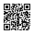 QR Code (код быстрого отклика)