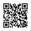 QR Code (код быстрого отклика)