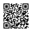 QR Code (код быстрого отклика)