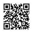 QR Code (код быстрого отклика)