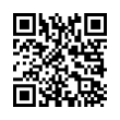 QR Code (код быстрого отклика)