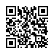 QR Code (код быстрого отклика)