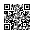 QR Code (код быстрого отклика)