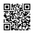 QR Code (код быстрого отклика)