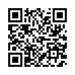 QR Code (код быстрого отклика)