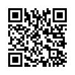 QR Code (код быстрого отклика)