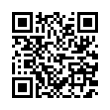 QR Code (код быстрого отклика)