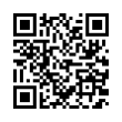 QR Code (код быстрого отклика)