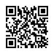 QR Code (код быстрого отклика)