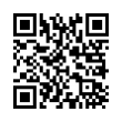 QR Code (код быстрого отклика)