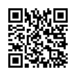 QR Code (код быстрого отклика)