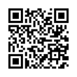 QR Code (код быстрого отклика)