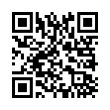 QR Code (код быстрого отклика)