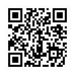 QR Code (код быстрого отклика)