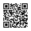 QR Code (код быстрого отклика)