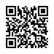 QR Code (код быстрого отклика)