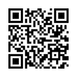 QR Code (код быстрого отклика)