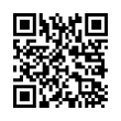 QR Code (код быстрого отклика)