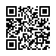 QR Code (код быстрого отклика)