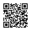 QR Code (код быстрого отклика)