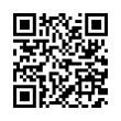 QR Code (код быстрого отклика)