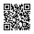 QR Code (код быстрого отклика)