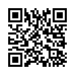 QR Code (код быстрого отклика)