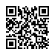 QR Code (код быстрого отклика)