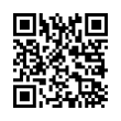 QR Code (код быстрого отклика)