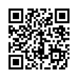 QR Code (код быстрого отклика)